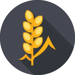 Gluten