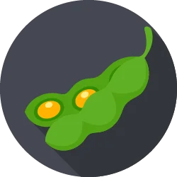Soya